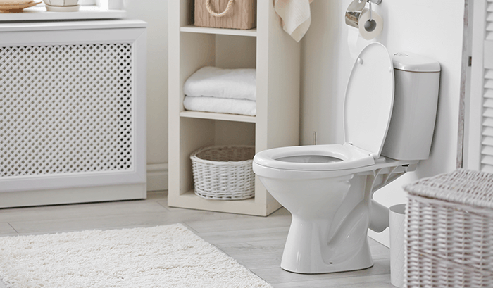 Assentos para vaso sanitário: conforto e praticidade no banheiro