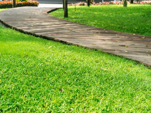 Aparador de grama: facilite a manutenção do seu jardim